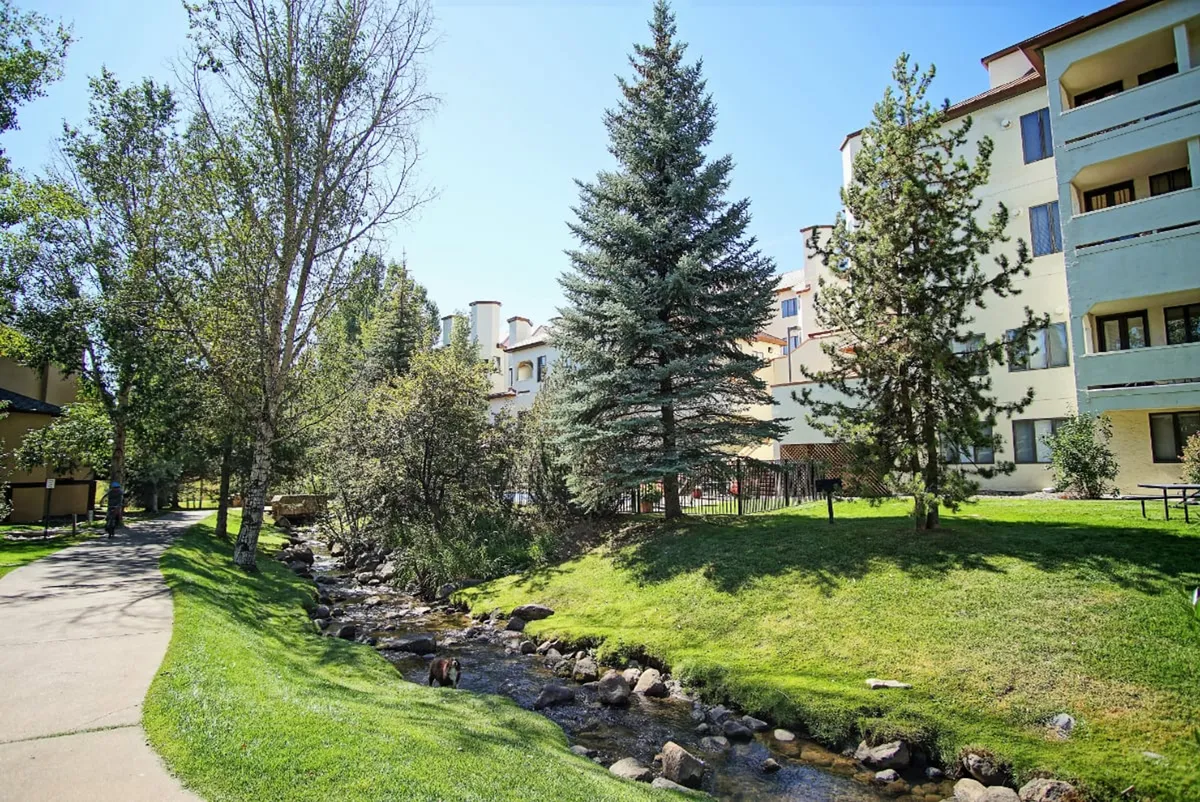A tranquil exterior scene featuring Burgess Creek winding alongside lush green grass and tall trees, with the building exterior visible in the background. Families are seen walking and enjoying picnics by the stream, immersing themselves in the natural setting.